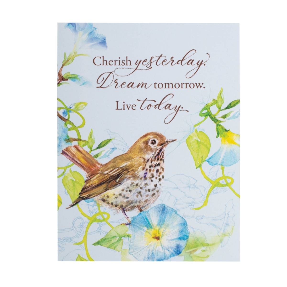 CDSET22S Card Set Encouragement Scripture Birds