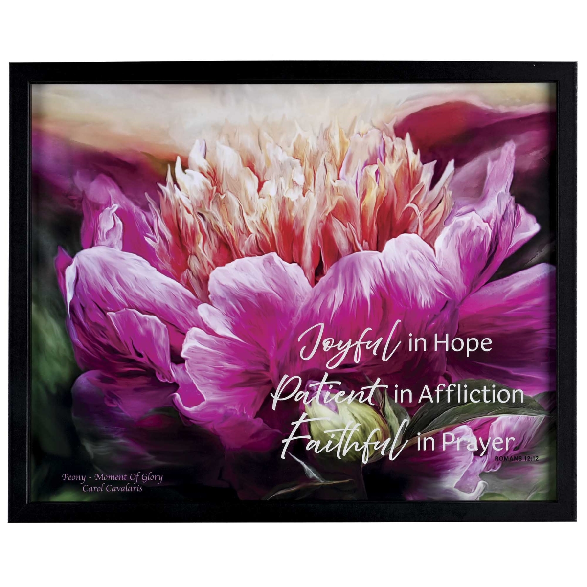 FRMWDBL-2016-5 Framed Wall Art Joyful Patient 20x16
