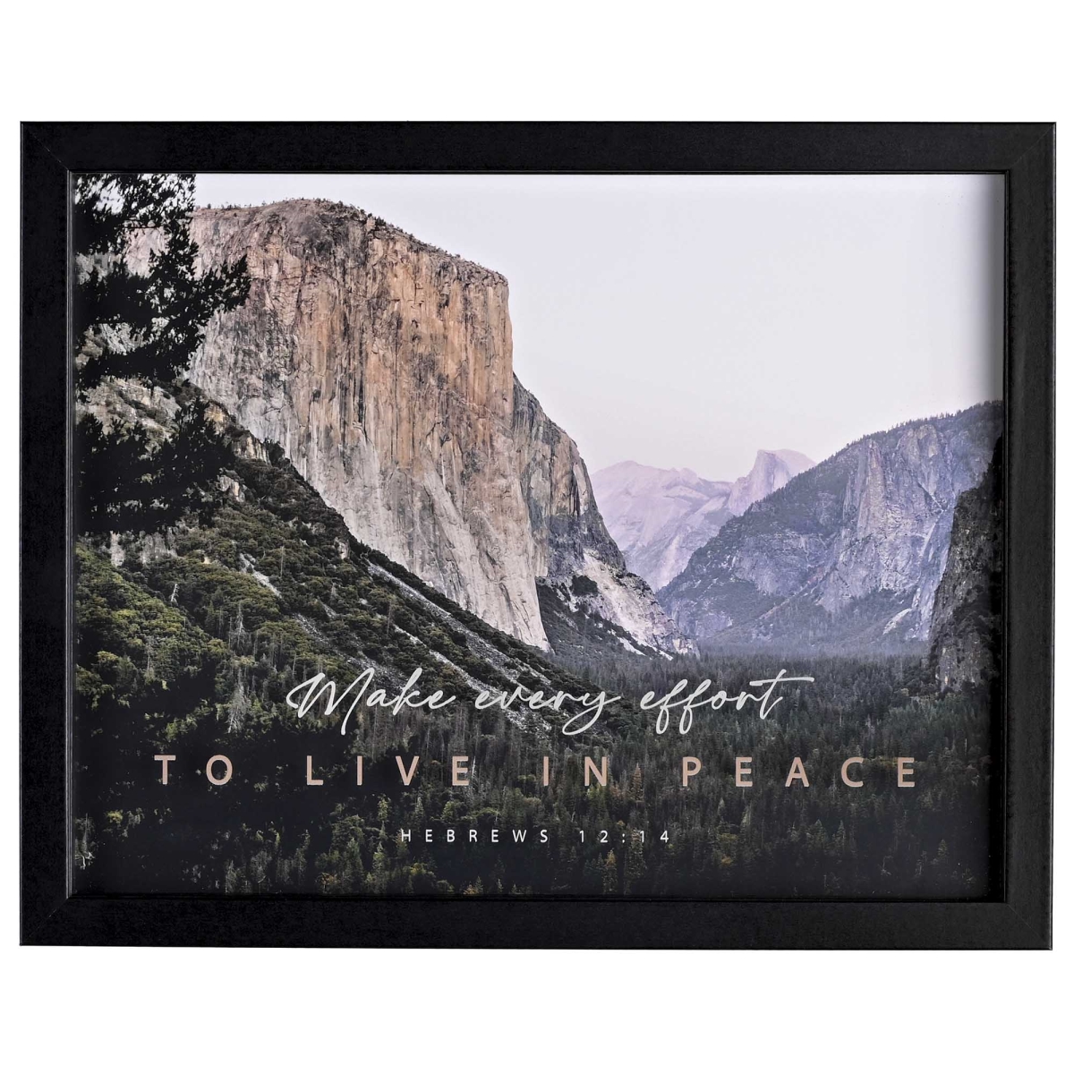 FRMWDBL-1411-86 Framed Wall Art Make Every Effort 14x11