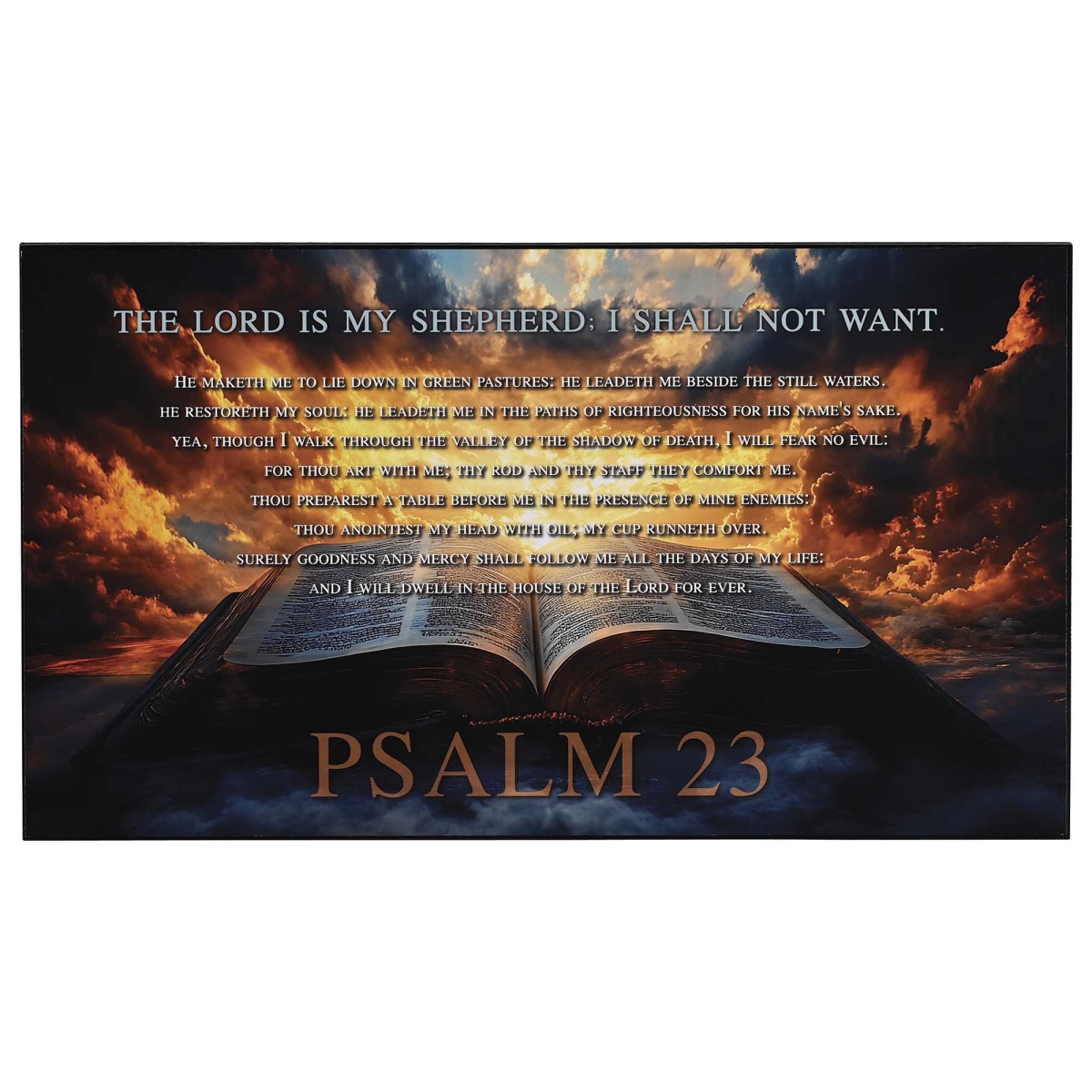 PLK148-419 Wall Plaque Lord Is My Shepherd 14x8