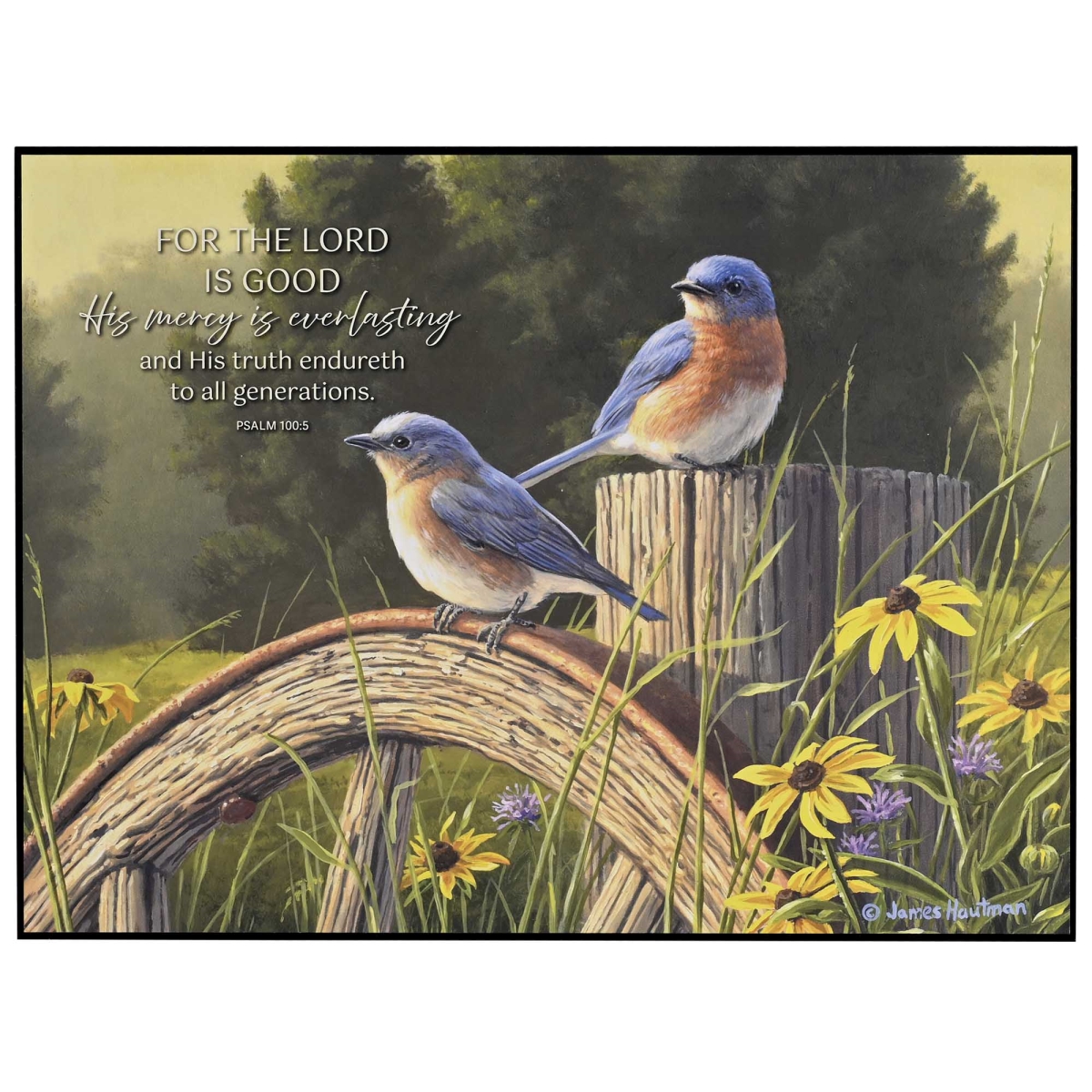 PLK1612-433 Wall Plaque Bluebirds For The Lord 16x12