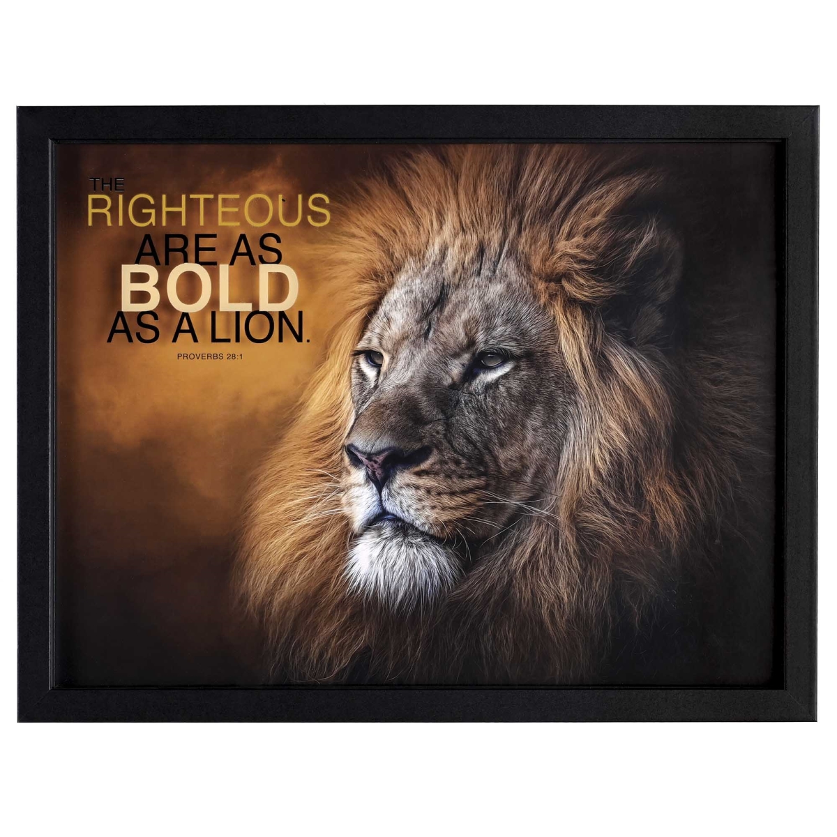 FRMWDBL-1612-2 Framed Wall Art 16x12 Bold Lion Prov28:1