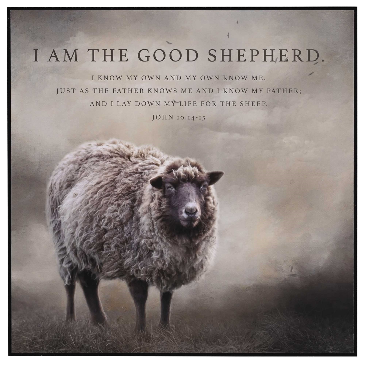 PLK1212-422 Wall Plaque I Am The Good Shepherd 12x12