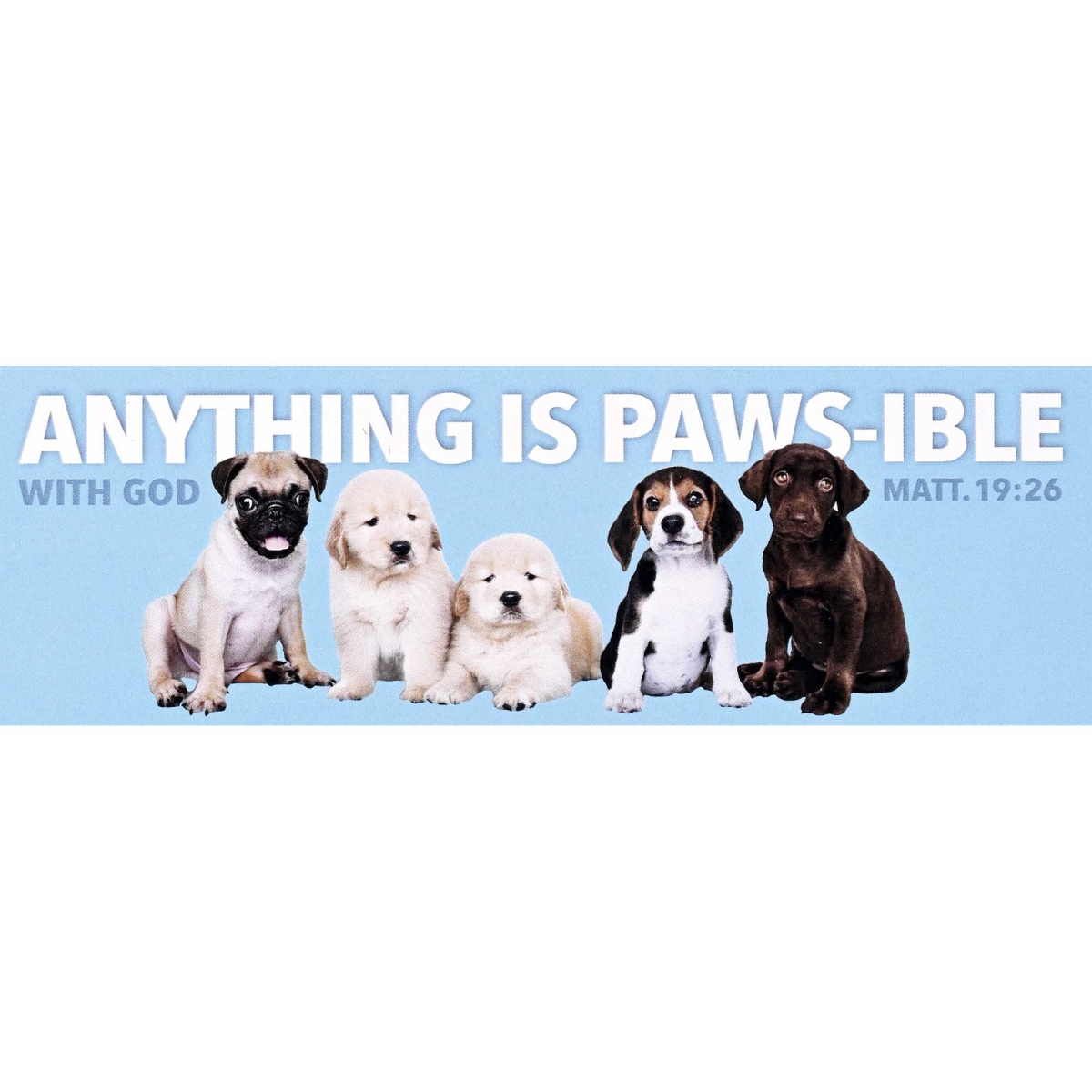 BKM-3256 Packaged Bookmarks Anything Paws-Ible