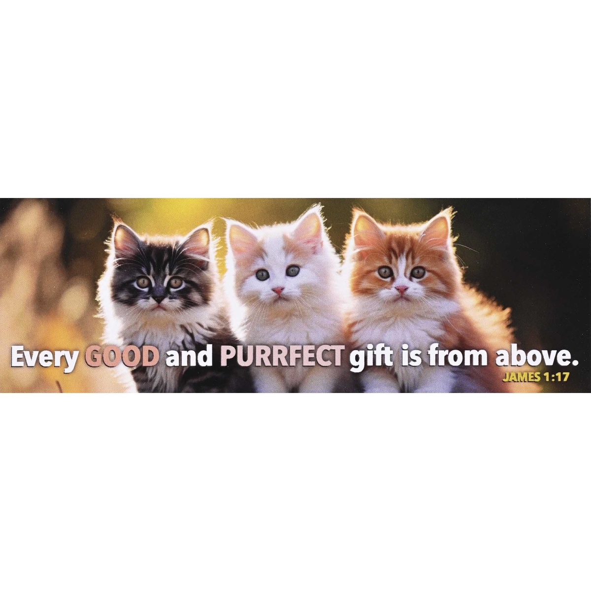 BKM-3257 Packaged Bookmarks Good & Purrfect 12-Pk
