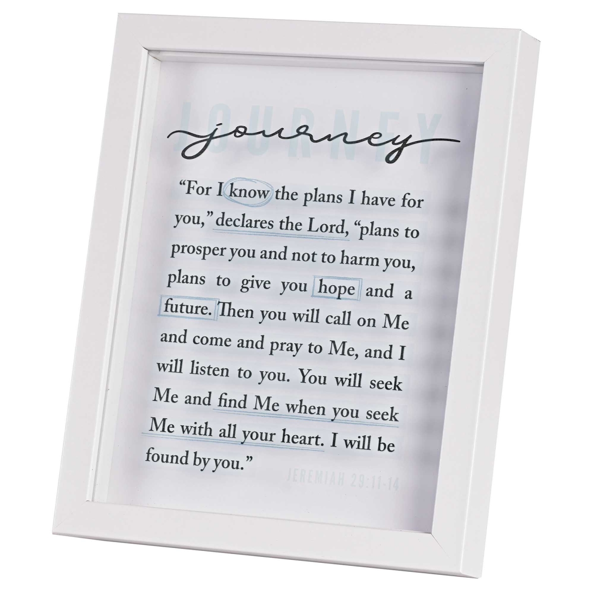 FRMWDW-810-62 Framed Art Planning Jeremiah 29:11