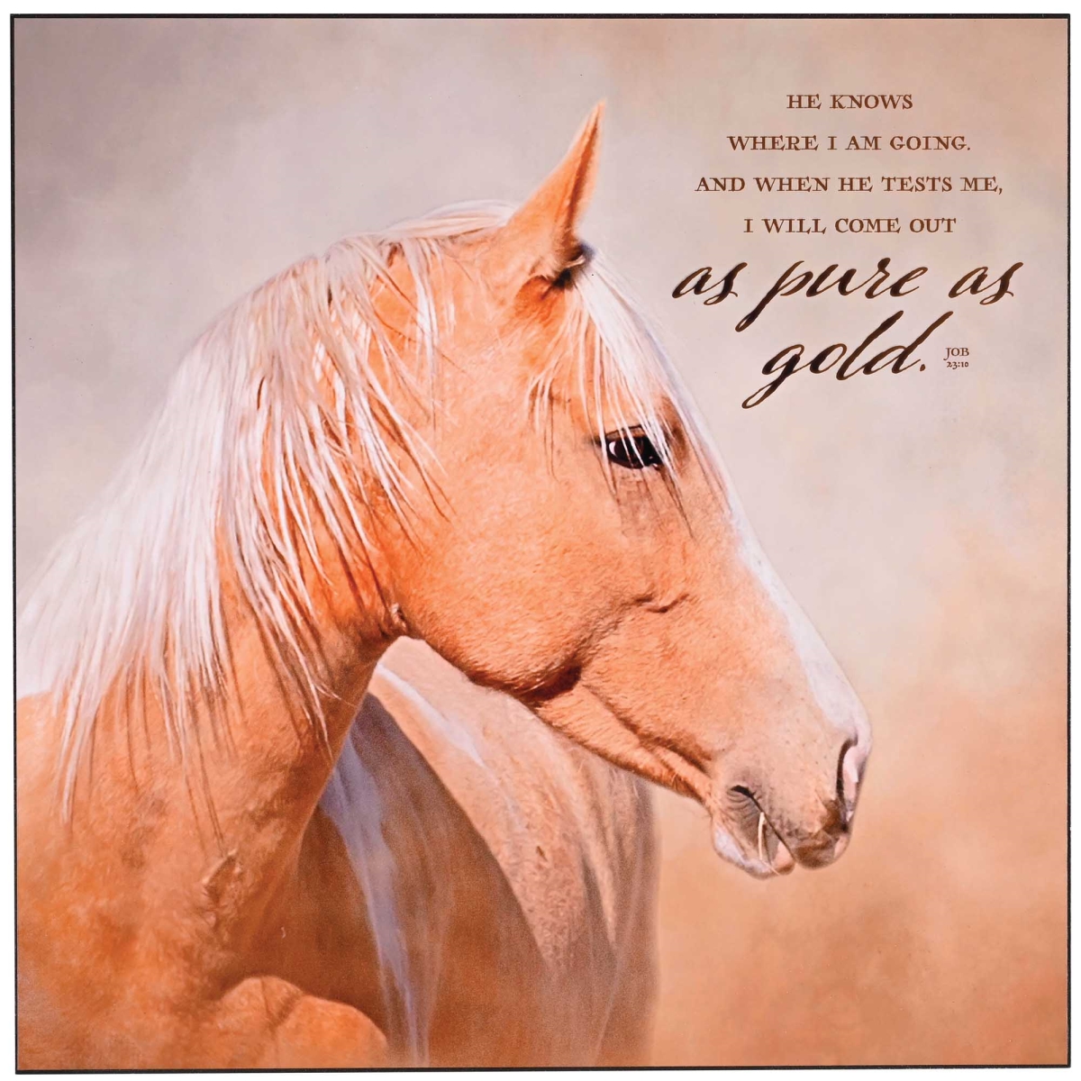 PLK1515-476 Wall Plaque But He Knows Where I Am Going