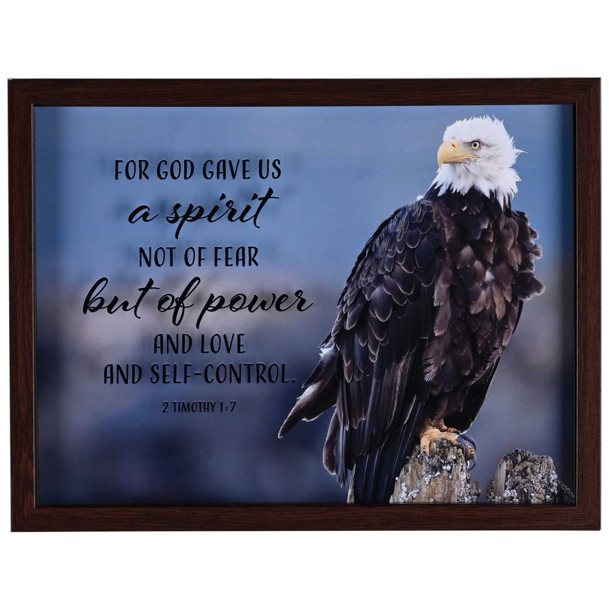 FRMWDWAL-1612-4 Framed Wall Art Eagle God Gave Us 16x12