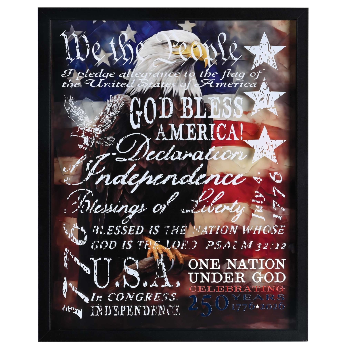 FRMWDBL-1620-6 Framed Wall Eagle We The People