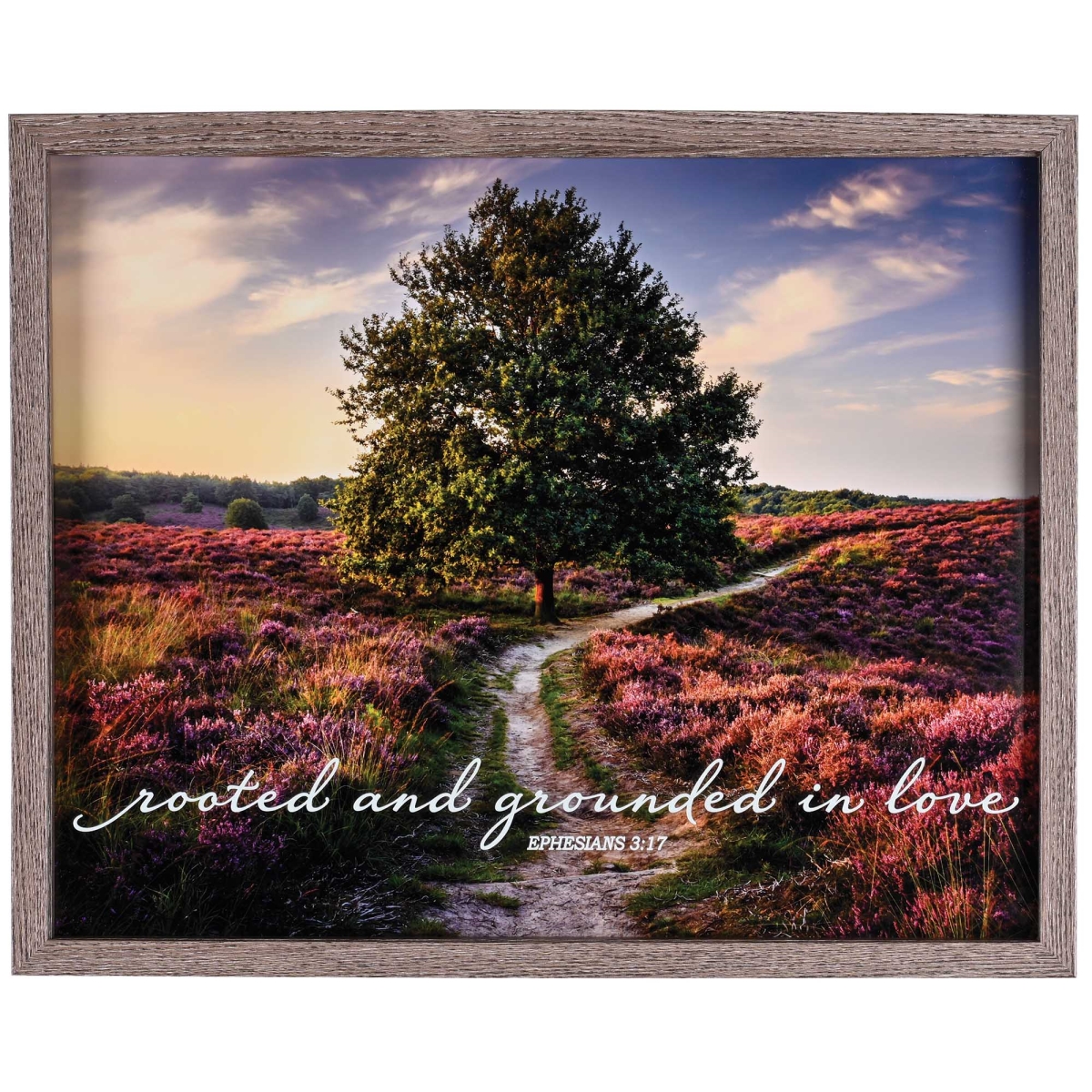 FRMWDWG-2016-7 Framed Wall Art Rooted And Grounded