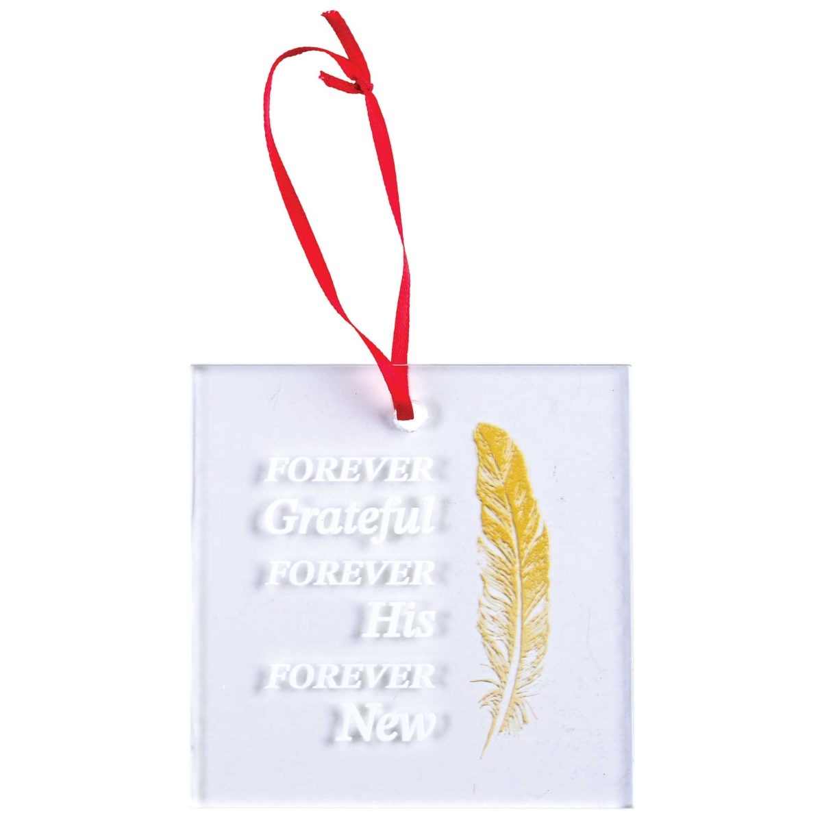 ORNG-303 Ornament Forever Grateful His   3.5H