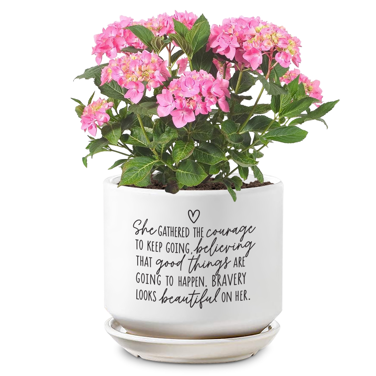 52003 Planter She Gathered The Courage