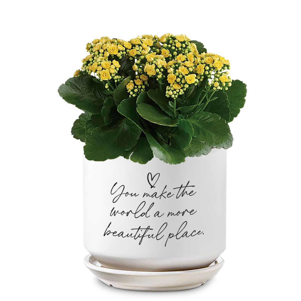 52004 Planter You Make The World Beautiful