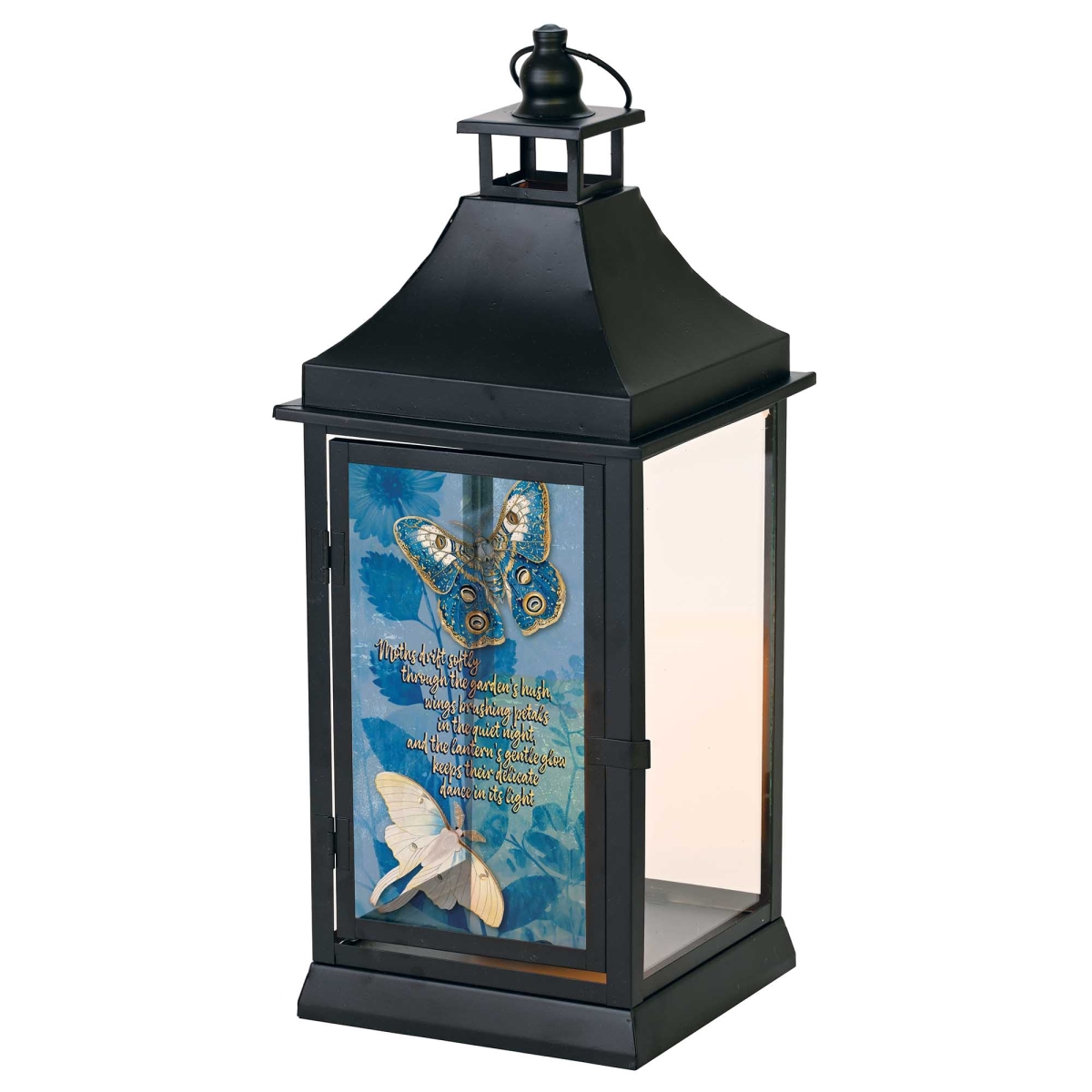 LTNOBL3 Large Outdoor Lantern Moths Drift Softly