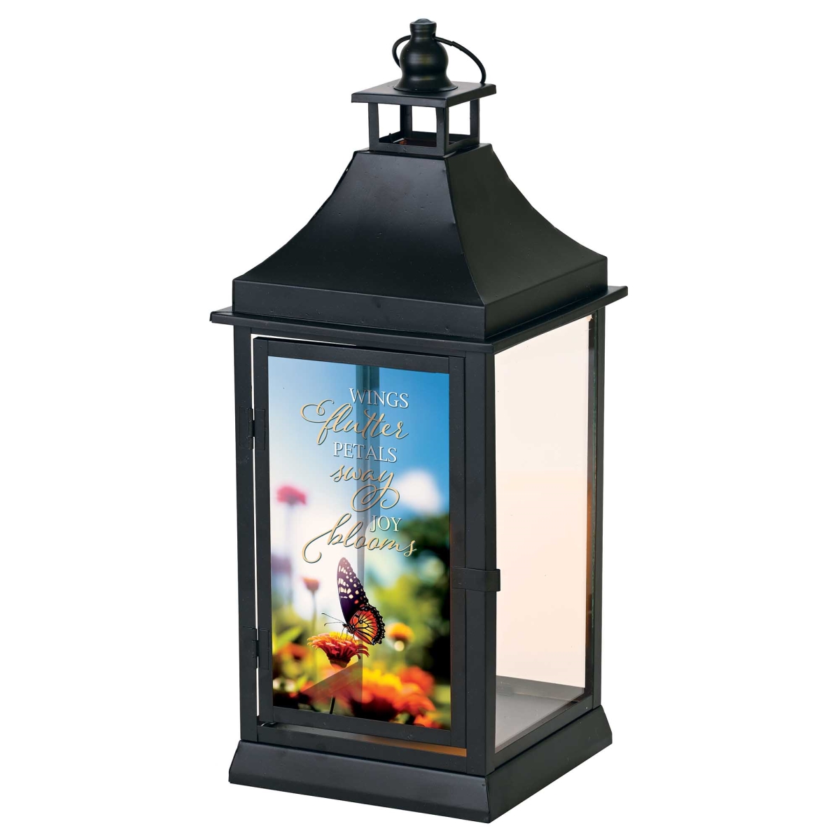 LTNOBL5 Large Outdoor Lantern Wings Flutter