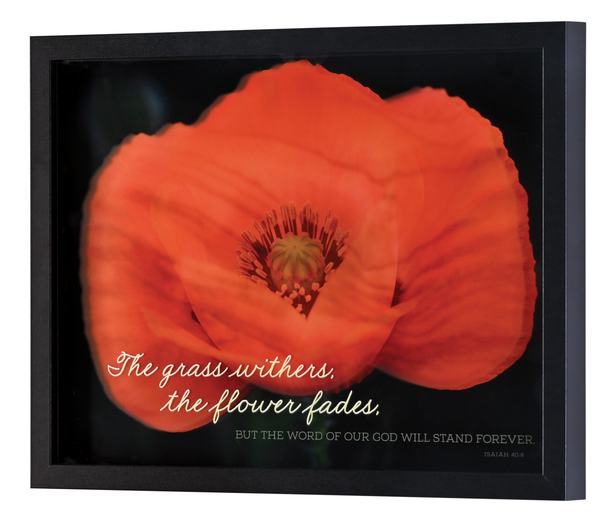 FRMWDBL-1612-3 Framed Wall Art Grass Withers The Flower