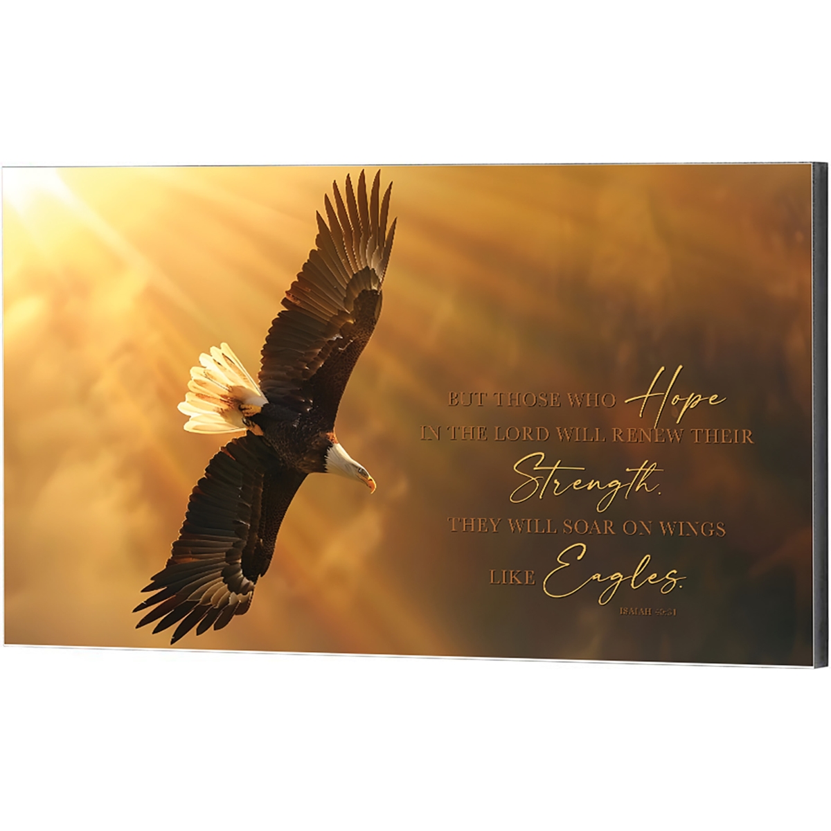 PLK169-485 Wall Plaque Flight Eagle Those Who Hope