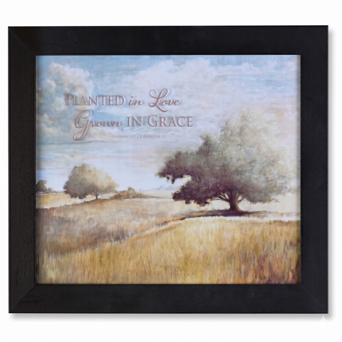 34C-2016-872 Framed Wall Art Planted Love Grown Grace