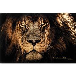 PLK3020-498 30 x 20 in. Rightous Proverbs 28- 1 Wall Plaque, Black