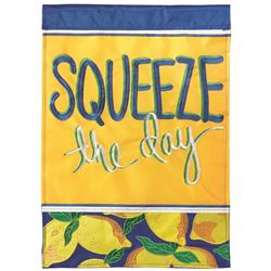 M001117 29 x 42 in. Flag Double Applique Squeeze The Day Polyester - Large