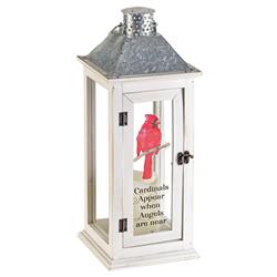 Picture of Dicksons LTN-1002LW 17 in. Cardinals Appear Lantern Warmer, White