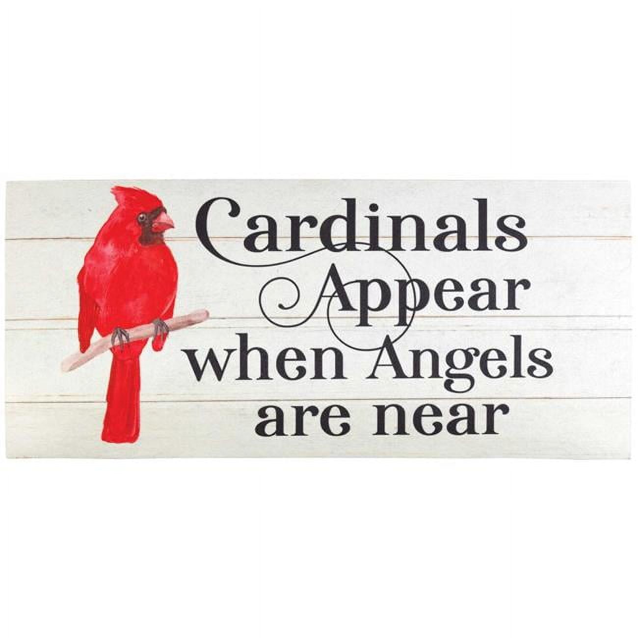 DMI-4 9.75 x 21.875 in. Cardinals Appear When Insert Doormat