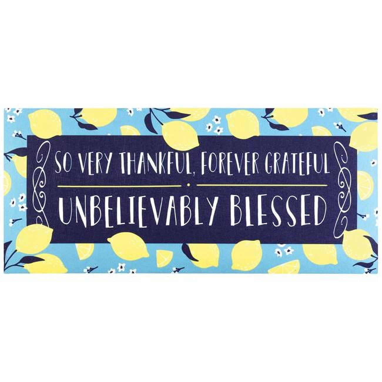 9.75 x 21.875 in. Thankful Grateful Blessed Insert Doormat