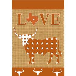 1894 GARDEN, LOVE LONGHORNS