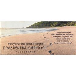 DMI-1080 Doormat Insert Footprints