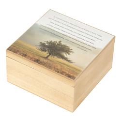 WOODBOX-127 Wood Box If I Could Grow A Tree