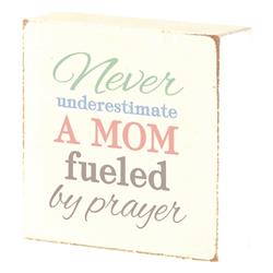 TPLK33-228 Tabletop Plaque Never Underestimate