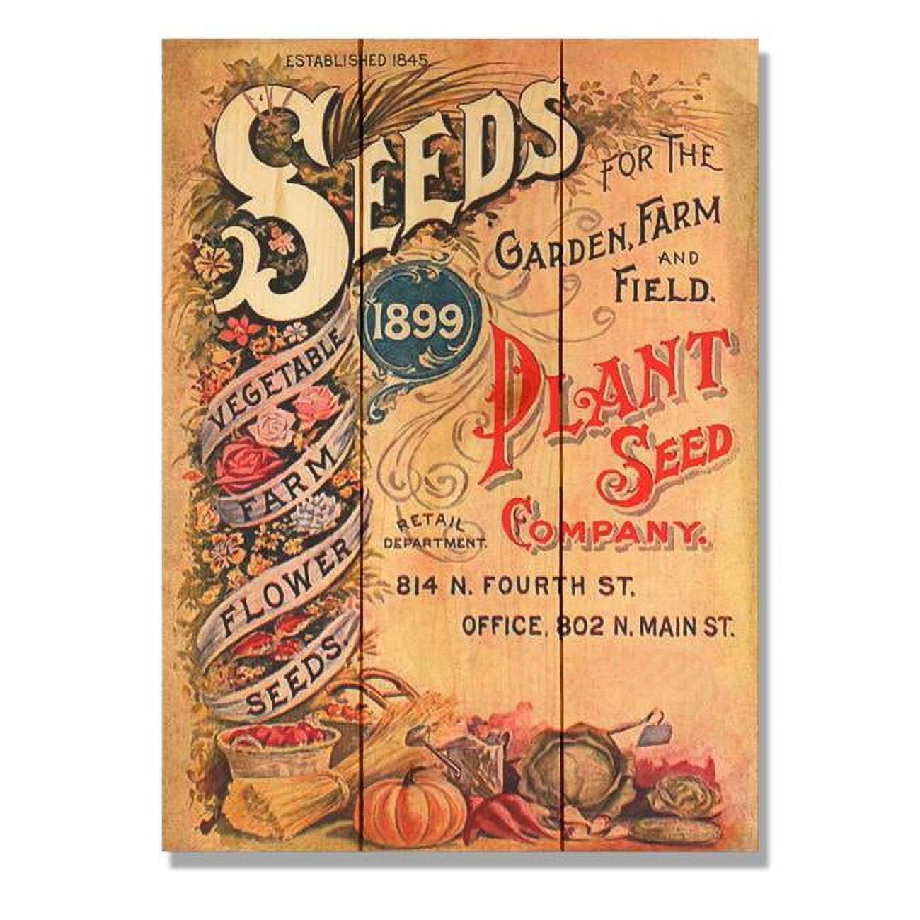 Wile E. Wood Seeds 11x15 Wall Art