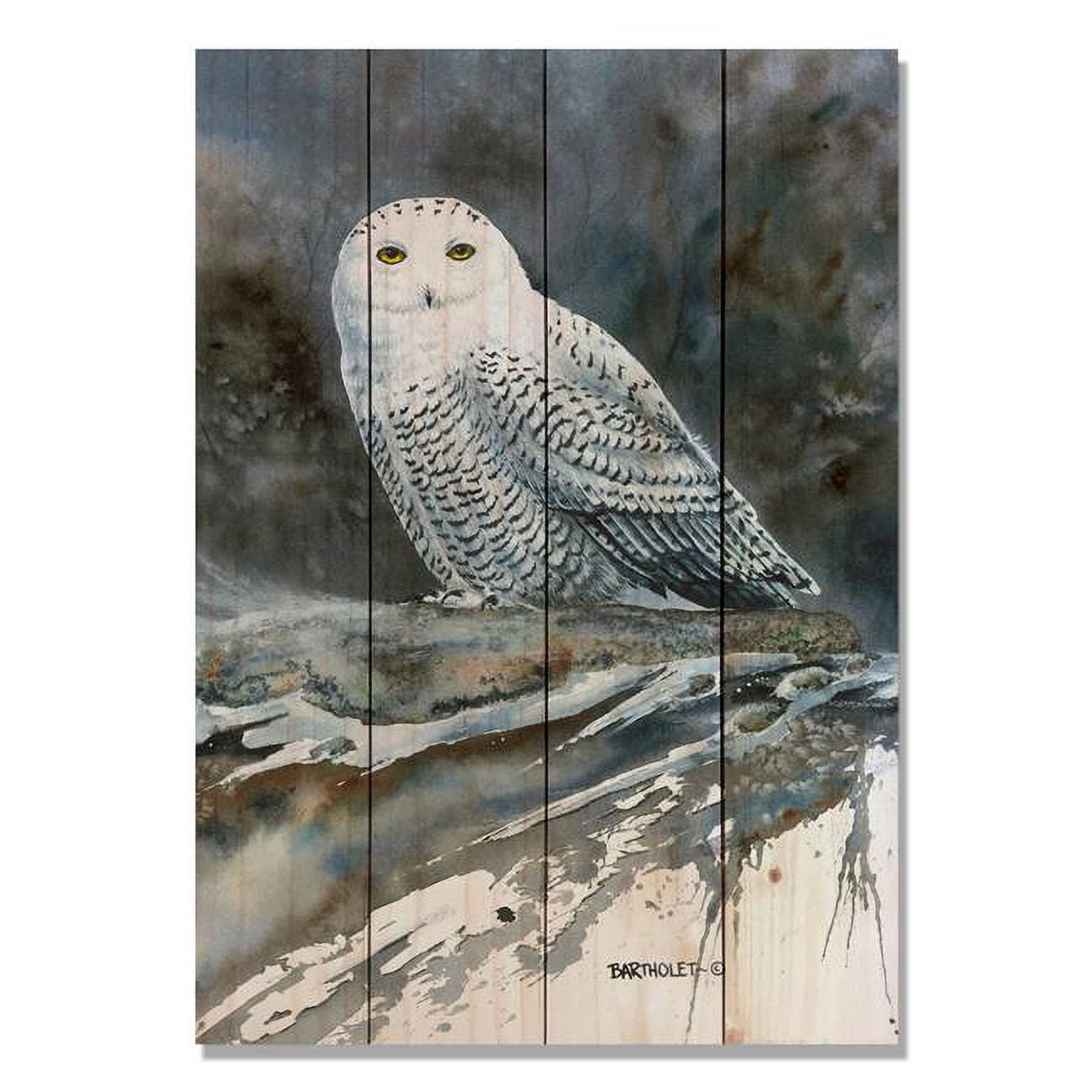 Picture of DaydreamHQ DBARG-1420 Arctic Ghost Owl Painting Wood Art Print