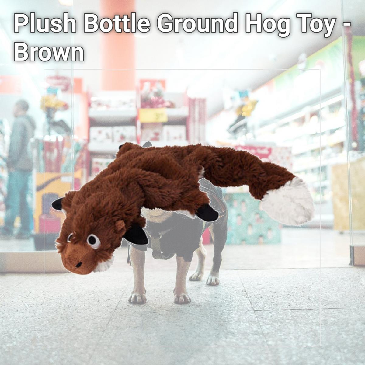Picture of Doggles TYPBGH-20 Plush Bottle Ground Hog Toy - Brown
