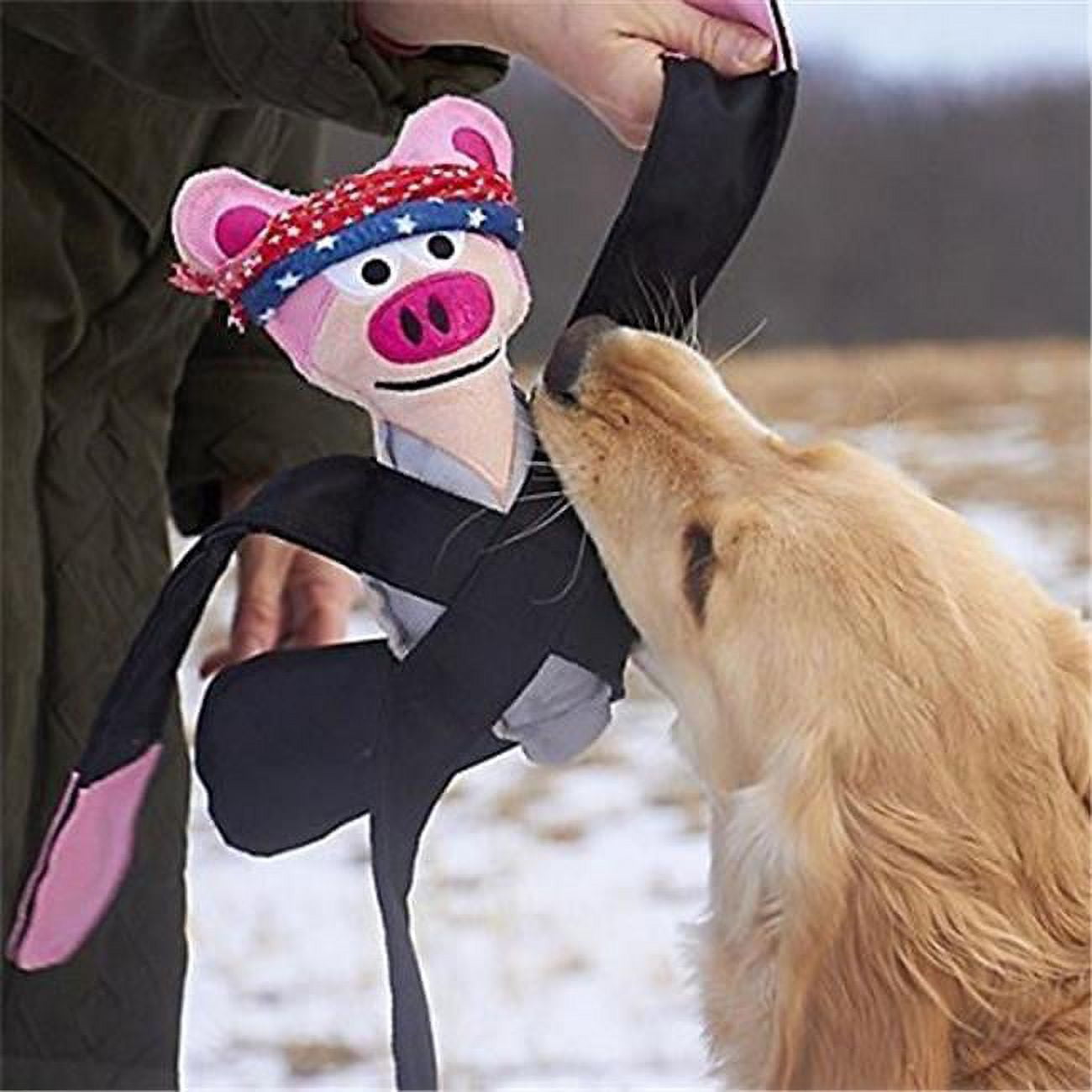 Picture of Doggles TYPEPI-02 Pentapulls Pink Pig Dog Toy