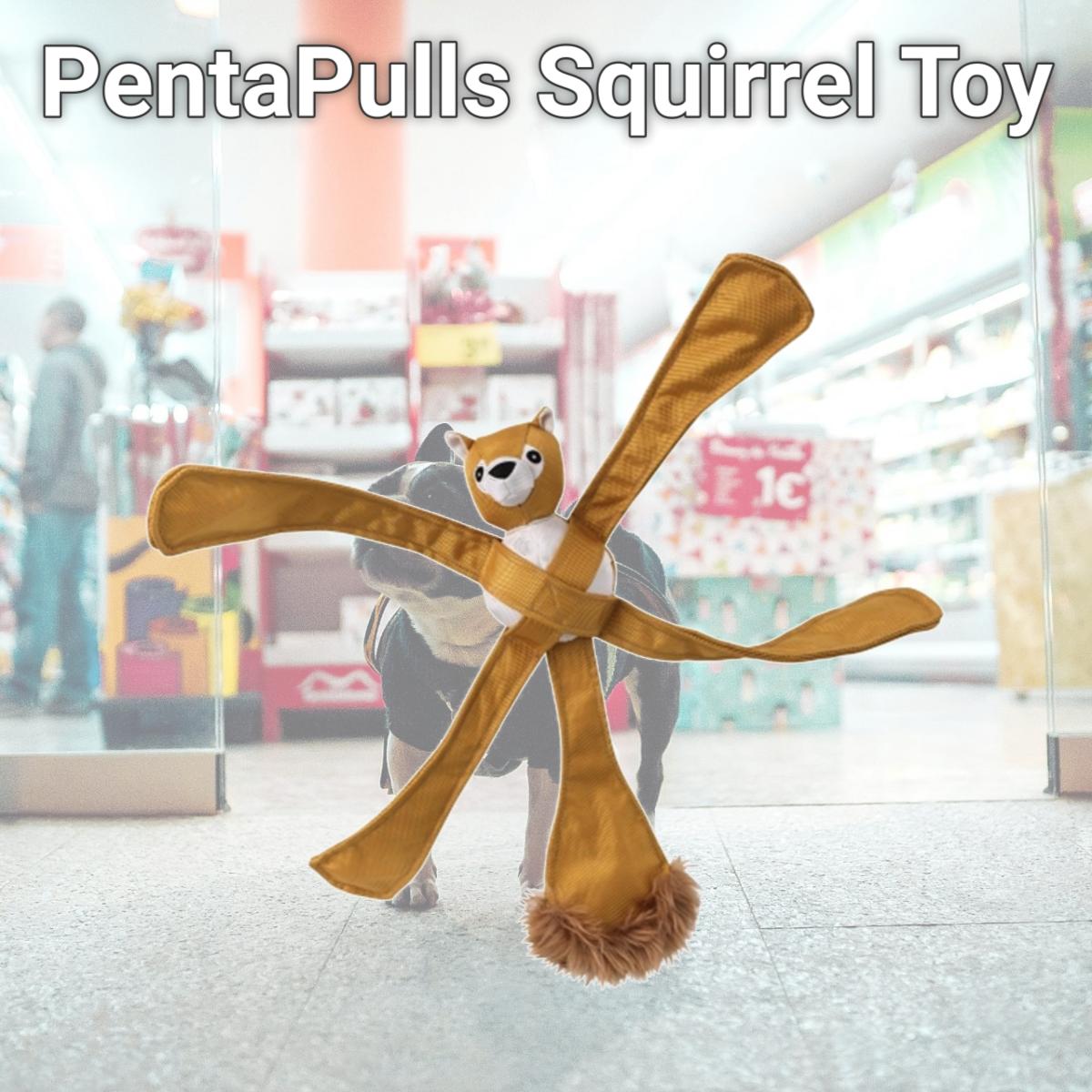 Picture of Doggles TYPESQ06 PentaPulls Squirrel Toy