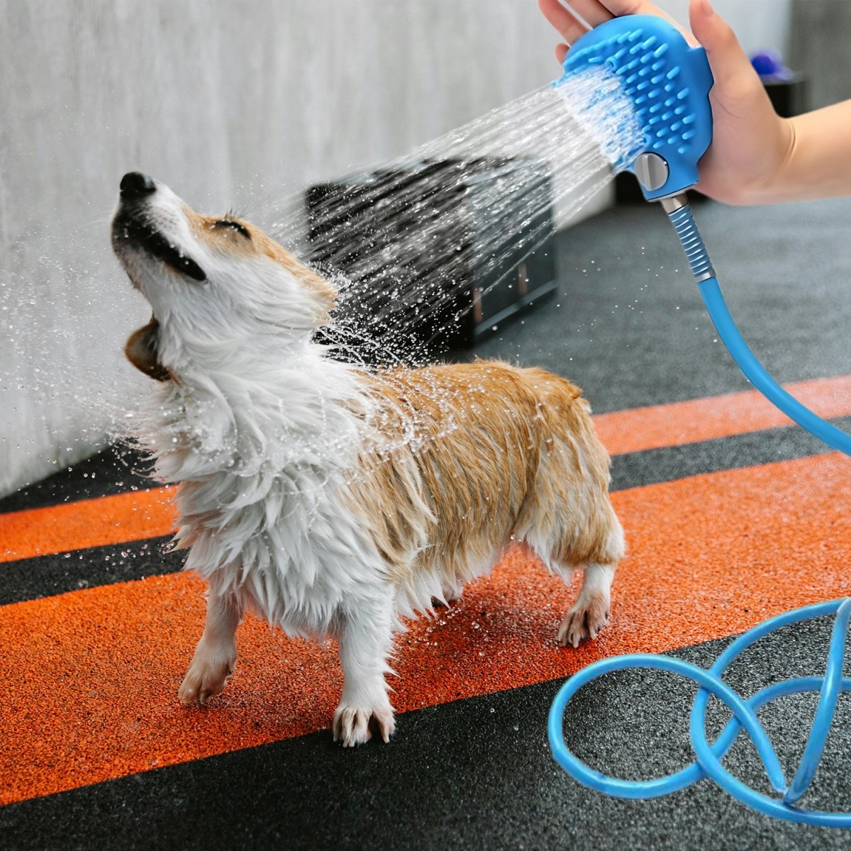 Picture of 3P EXPERTS 3PX-PETBATHTOOL  Pet Shower Attachment