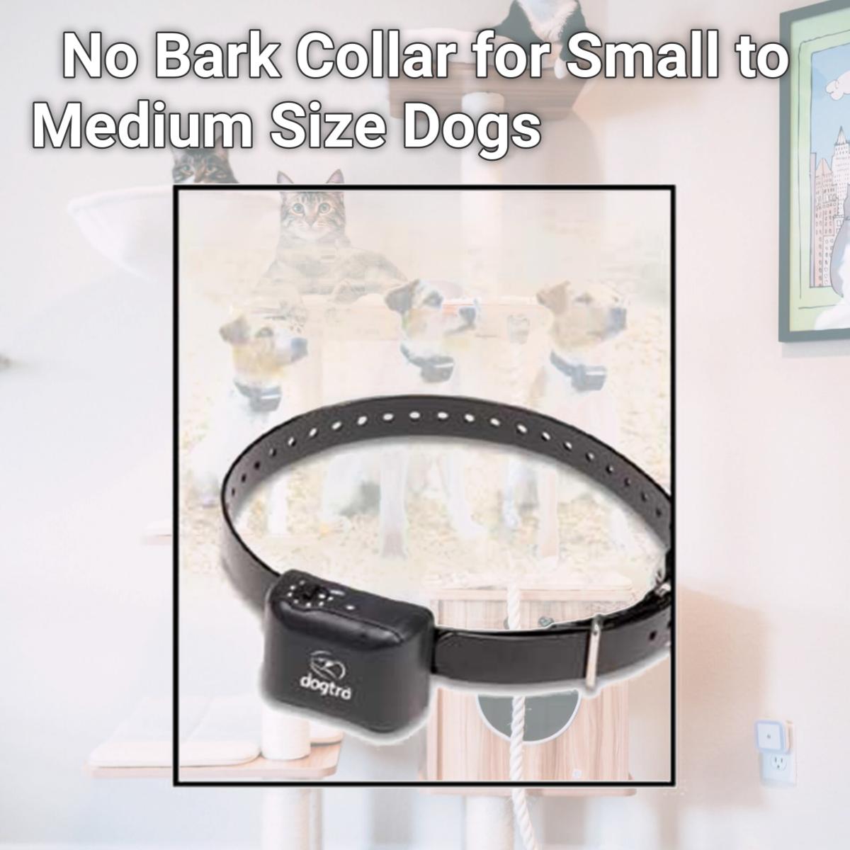 Picture of Dogtra YS300 No Bark Collar for Small to Medium Size Dogs