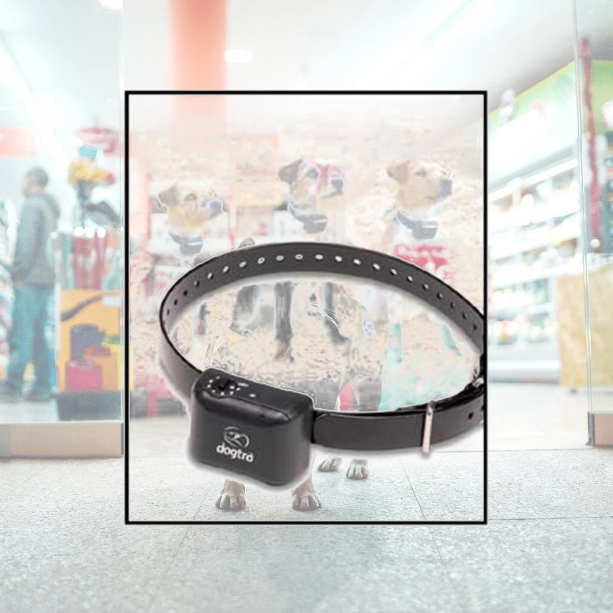 Picture of Dogtra YS300 No Bark Collar for Small to Medium Size Dogs