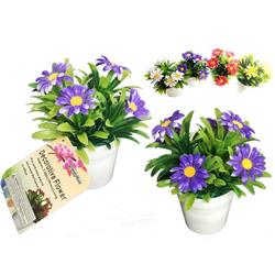 Picture of Family Maid 27491A 6 Head Daisies Decorative Flower in Pot - Pack of 72