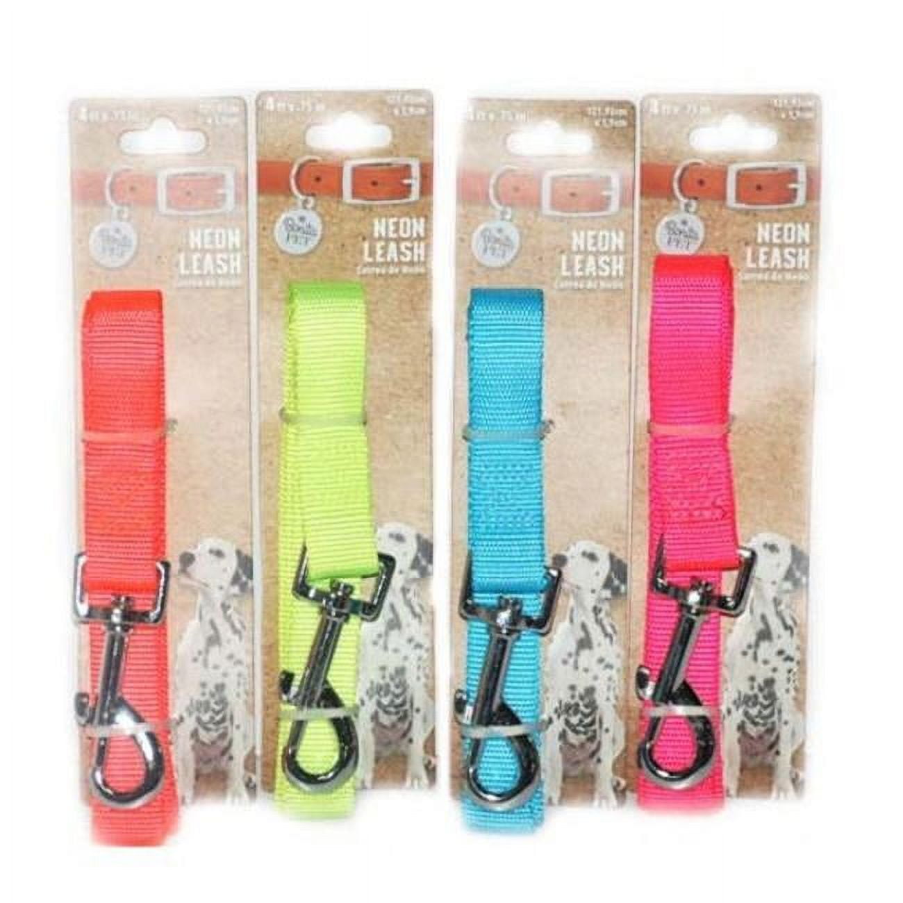 Picture of DDI 2324546 Pet Leashes -Neon Colors Case of 96