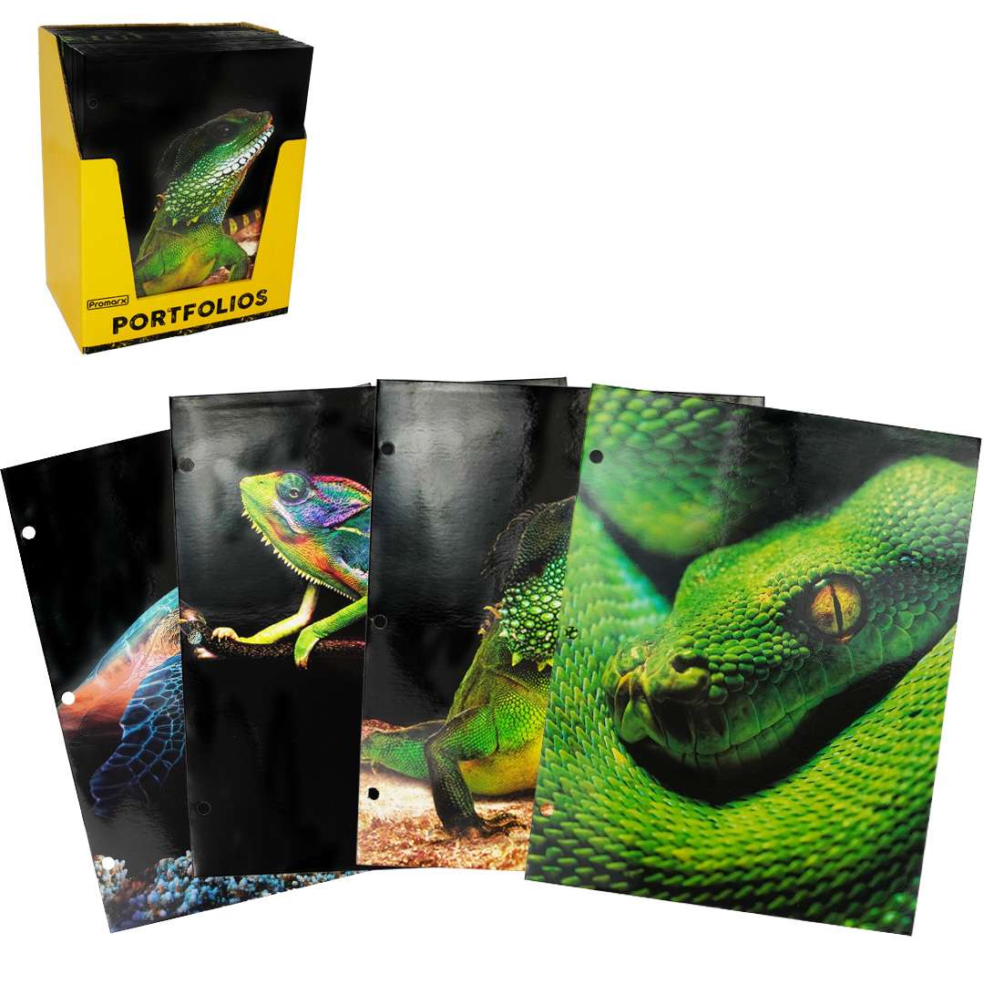 2-Pocket Folders - Reptiles case of 48