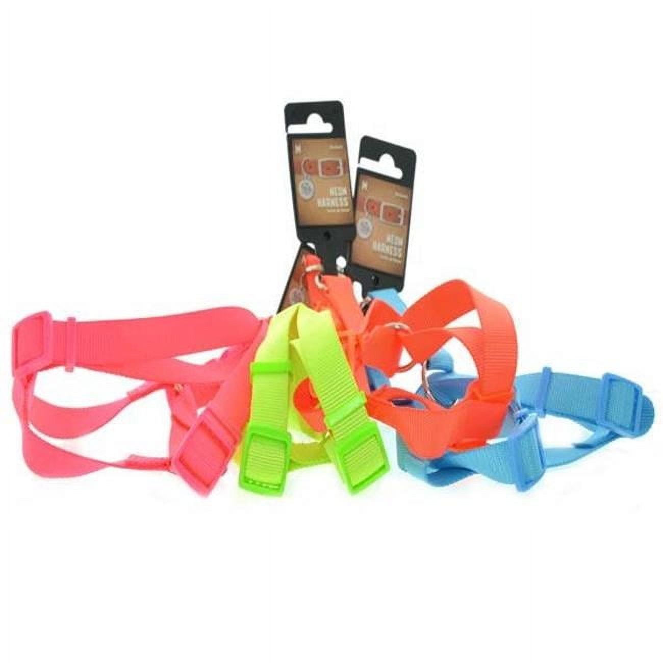 Picture of DDI 2332290 Pet Harnesses - Assorted Neon Color  Medium Case of 96