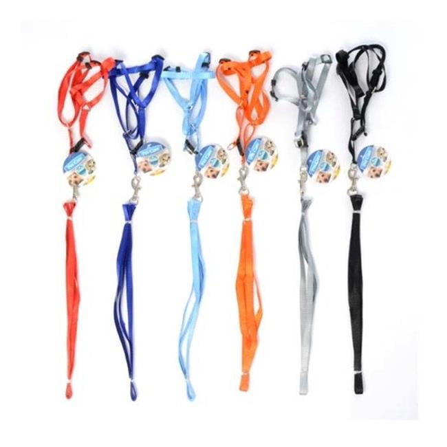 Picture of DDI 2332247 Leashes w/Harness - Assorted Colors  Small  47.24&quot; Case of 72