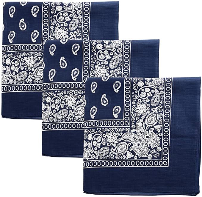 Cotton Bandanas - Paisley, Navy case of 120