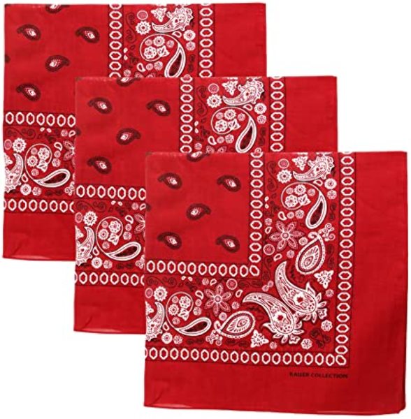 Cotton Bandanas - Paisley, Deep Red case of 120