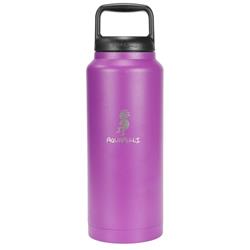 Picture of DDI 2350610 18 oz Stainless Steel Vacuum Insulated Water Bottle with Spout - Blue Case of 16