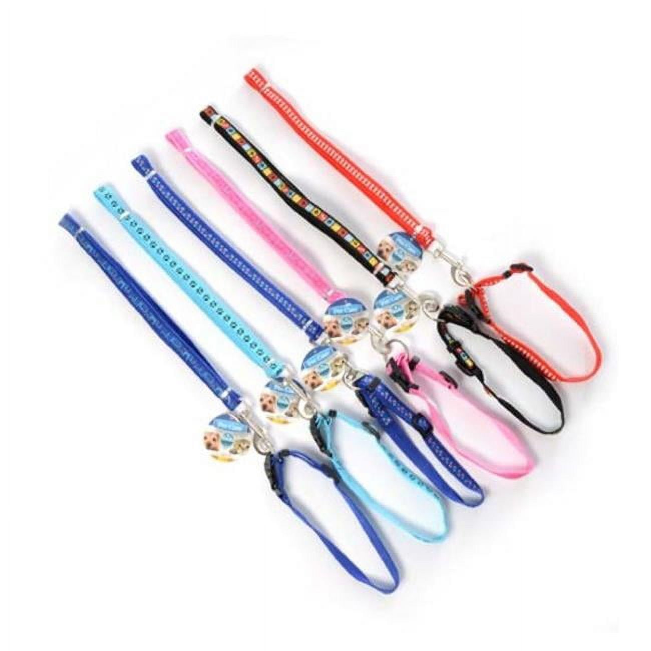 Picture of DDI 2332263 Dog Leashes with Collar&#44; Assorted Color - Case of 48
