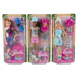 Picture of DDI 2364289 Barbie Doll & Pet Playsets with 3 Styles - Case of 6