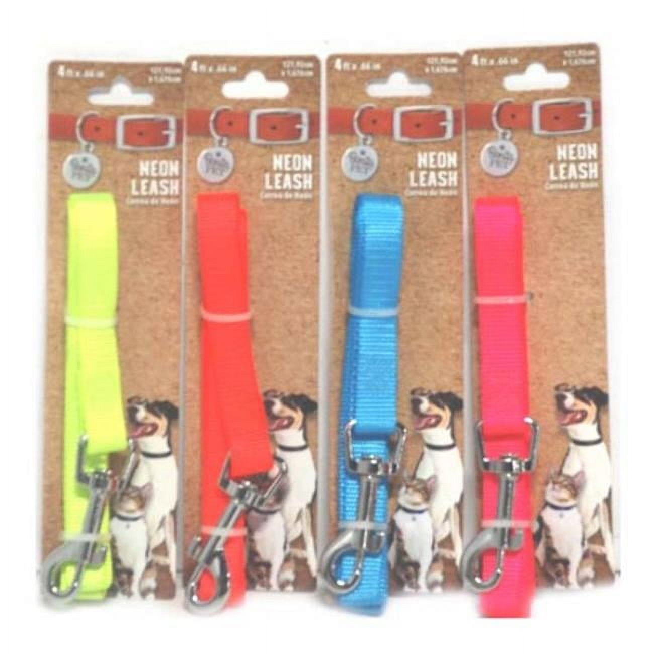 Picture of DDI 2324545 Nylon Neon Leashes with D-Ring Clip&#44; 4 Color - Case of 96